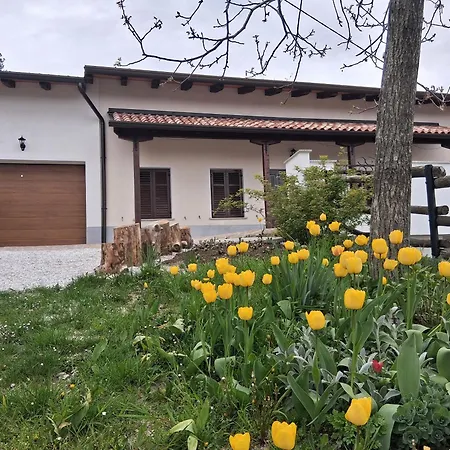 Apartment Senik Grgar