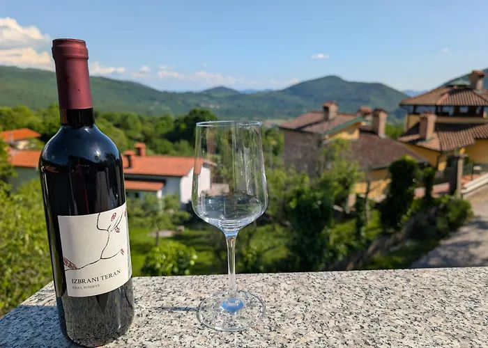 Апартаменты Senik *