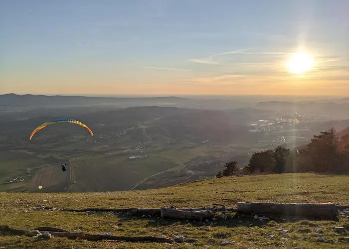 Апартаменты Senik